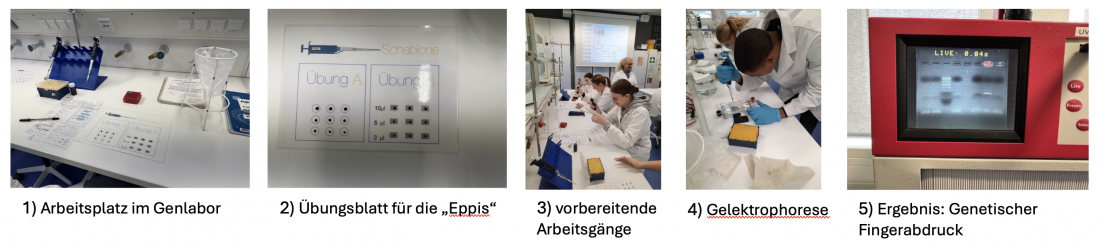 Bildschirmfoto 2026 03 05 um 10.13.33